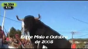 30 Acores Marradas com Efeitos 2008
