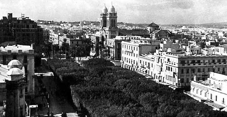 Photo propri&eacute;t&eacute; de Lucien Joignant, reproduction interdite