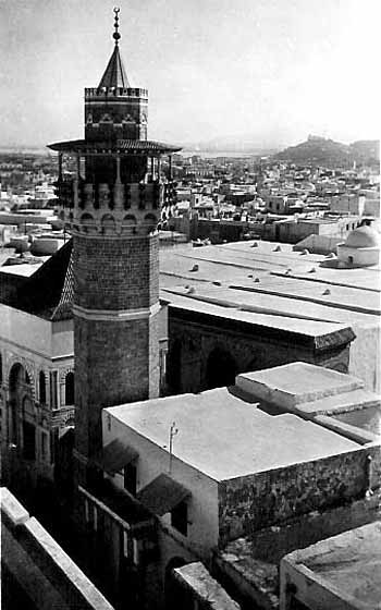 Photo propri&eacute;t&eacute; de Lucien Joignant, reproduction interdite