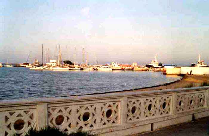 Photo propri&eacute;t&eacute; de Xavier Brunau