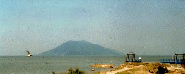 Photo d'Abdallah Gharbi