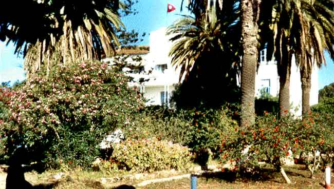 Photo d'Abdallah Gharbi