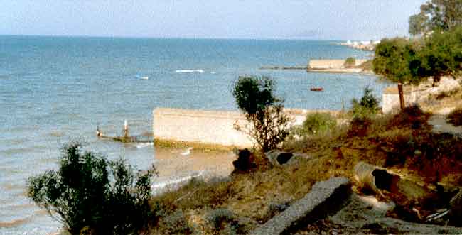 Photo d'Abdallah Gharbi