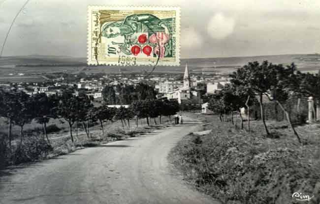 carte postale d'Arlette Muscat Crois&eacute;, reproduction interdite sans son autorisation