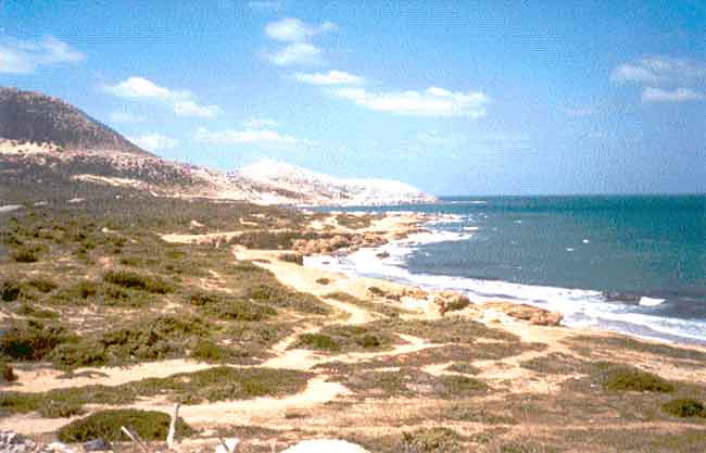 Photo propri&eacute;t&eacute; d'Arlette Muscat, reproduction interdite sans autorisation