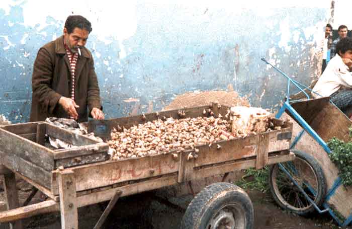Photo de G&eacute;rard Baldacchino, reproduction interdite sans son autorisation