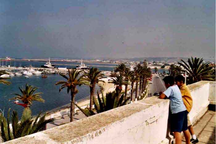 Photo propri&eacute;t&eacute; de Xavier Brunau