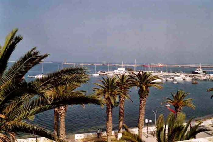 Photo propri&eacute;t&eacute; de Xavier Brunau