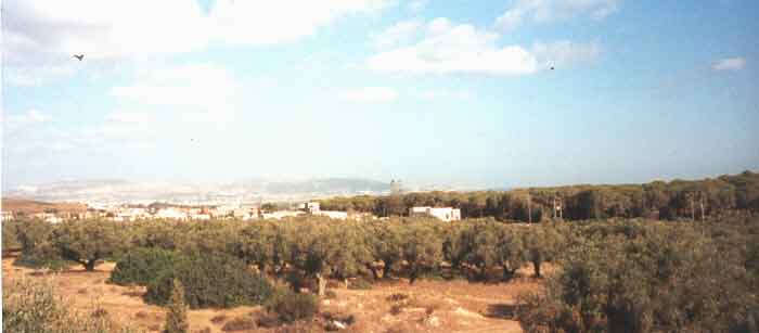 Photo propri&eacute;t&eacute; de Guy mirrione