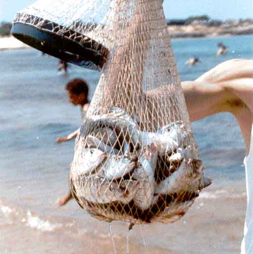 Photo propri&eacute;t&eacute; de Ren&eacute; Lombardo