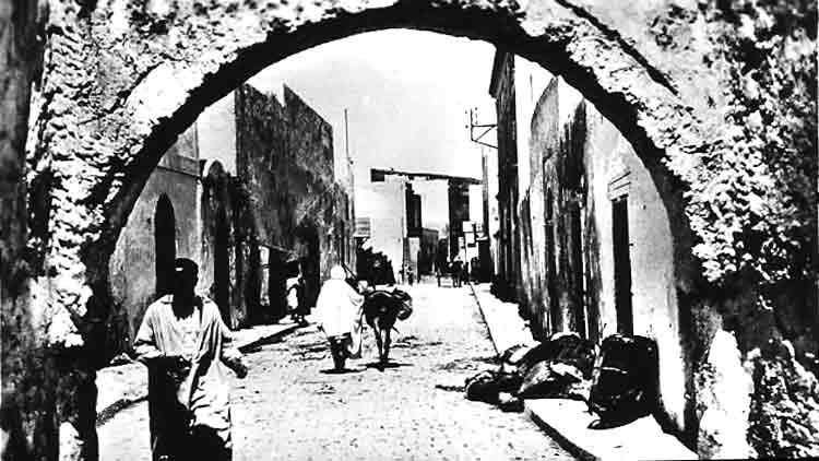 Photo propri&eacute;t&eacute; de Joseph Lo Piccolo