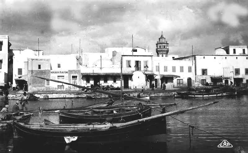 Photo propri&eacute;t&eacute; de Joseph Lo Piccolo