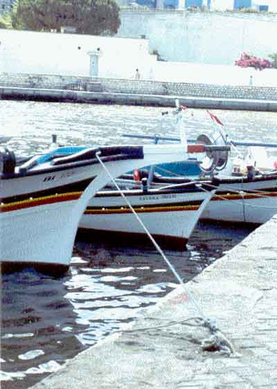 Photo propri&eacute;t&eacute; de Ren&eacute; Lombardo