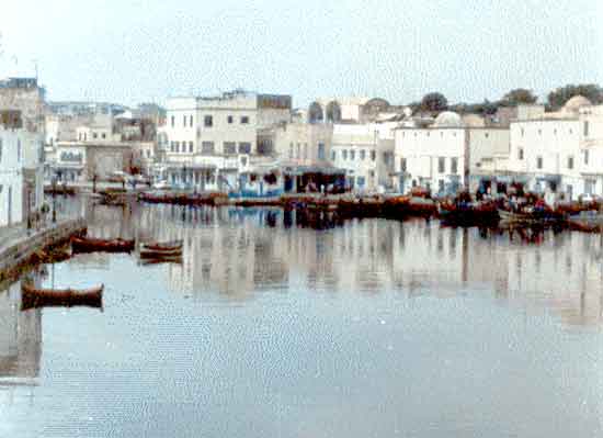 Photo propri&eacute;t&eacute; de Ren&eacute; Lombardo