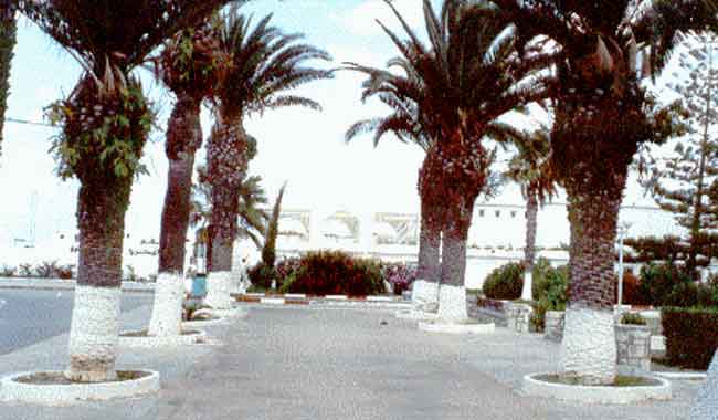 Photo propri&eacute;t&eacute; de Ren&eacute; Lombardo