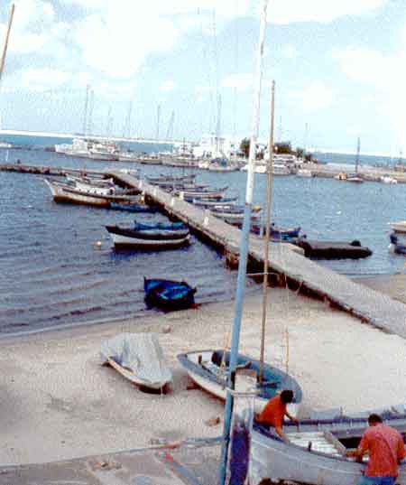 Photo propri&eacute;t&eacute; de Ren&eacute; Lombardo