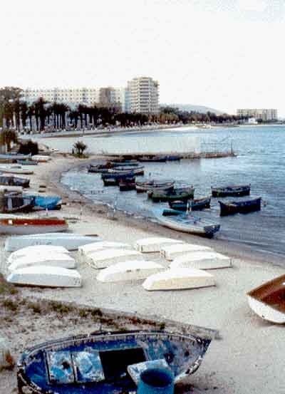 Photo propri&eacute;t&eacute; de Ren&eacute; Lombardo
