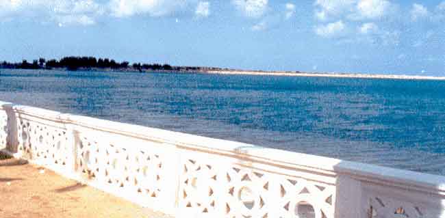 Photo propri&eacute;t&eacute; de Ren&eacute; Lombardo