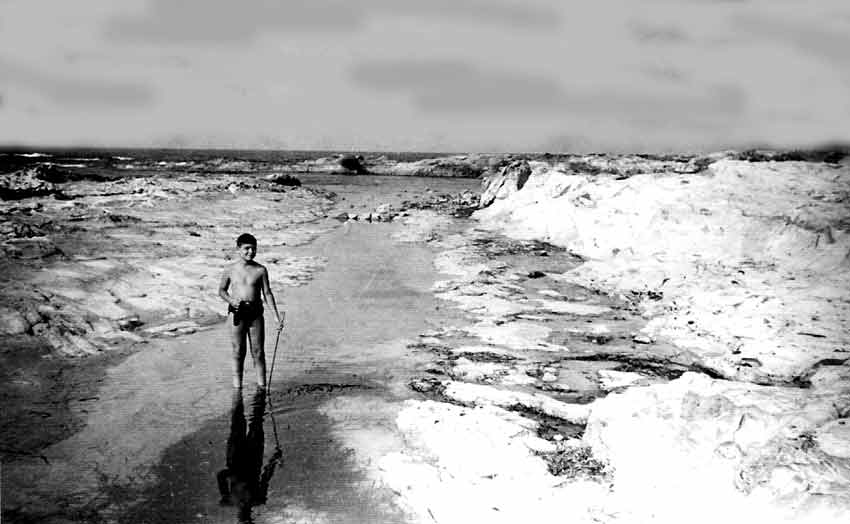 Photo de Joseph Lo-Piccolo, reproduction interdite sans son autorisation