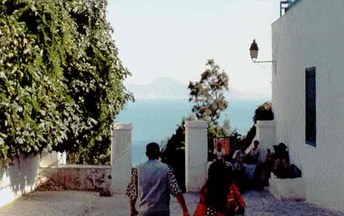 Photo propri&eacute;t&eacute; de Ren&eacute; Lombardo, reproduction interdite