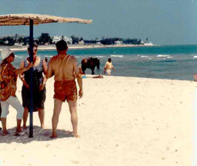 Photo propri&eacute;t&eacute; de Ren&eacute; Lombardo, reproduction interdite