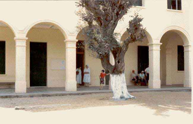 Photo de G&eacute;rard Baldacchino, reproduction interdite sans son autorisation