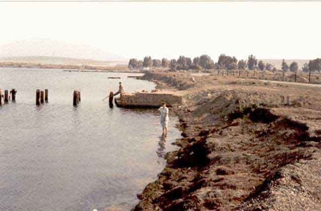 Photo de G&eacute;rard Baldacchino, reproduction interdite sans son autorisation