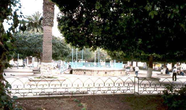 Photo de G&eacute;rard Baldacchino, reproduction interdite sans son autorisation