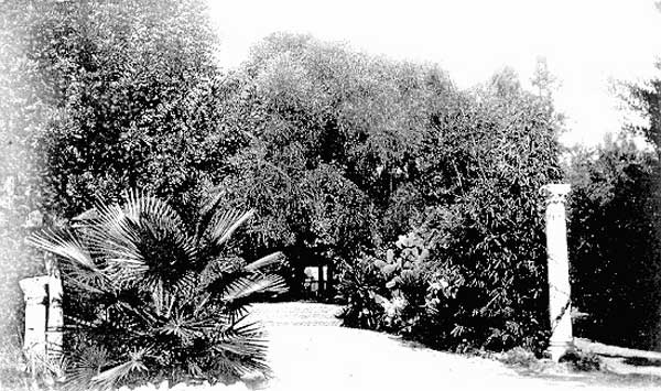 carte postale d'Arlette Muscat