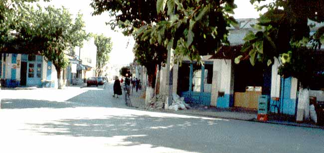 Photo de Ren&eacute; Lombardo, reproduction interdite sans son autorisation