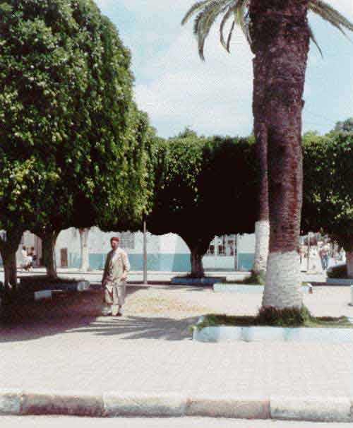 Photo de Ren&eacute; Lombardo, reproduction interdite sans son autorisation