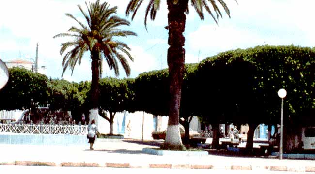 Photo de Ren&eacute; Lombardo, reproduction interdite sans son autorisation