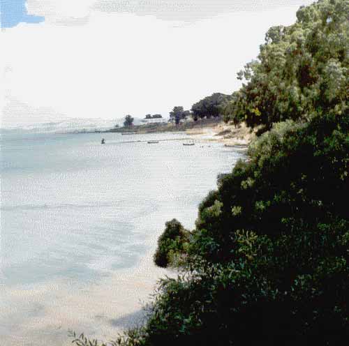 Photo de Ren&eacute; Lombardo, reproduction interdite sans son autorisation