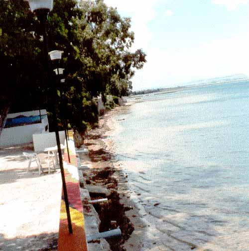 Photo de Ren&eacute; Lombardo, reproduction interdite sans son autorisation