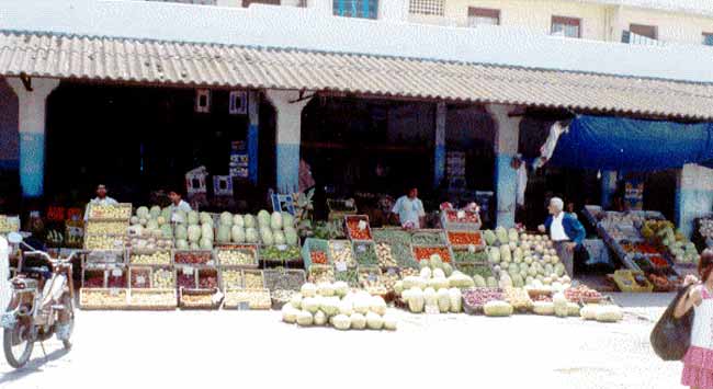 Photo de Ren&eacute; Lombardo, reproduction interdite sans son autorisation