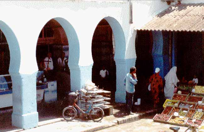 Photo de Ren&eacute; Lombardo, reproduction interdite sans son autorisation