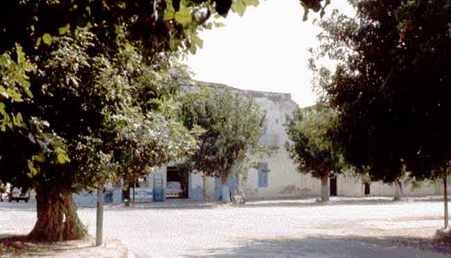 Photo de Ren&eacute; Lombardo, reproduction interdite sans son autorisation