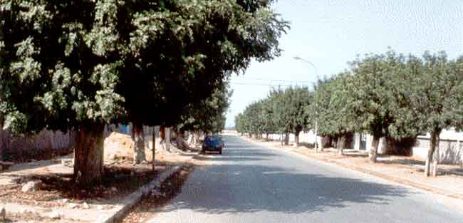 Photo de Ren&eacute; Lombardo, reproduction interdite sans son autorisation