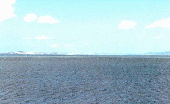 Photo de Ren&eacute; Lombardo, reproduction interdite sans son autorisation