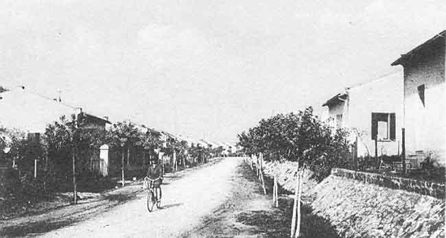 carte postale d'Arlette Muscat Crois&eacute;, reproduction interdite sans son autorisation