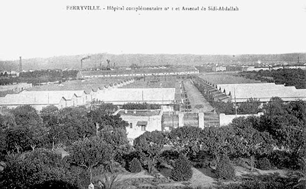 carte postale d'Arlette Muscat