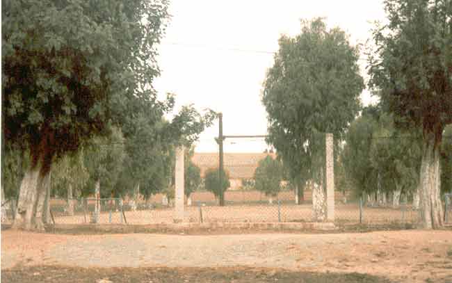 Photo de G&eacute;rard Baldacchino, reproduction interdite sans son autorisation