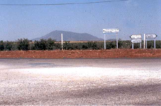 Photo de Ren&eacute; Haccoun