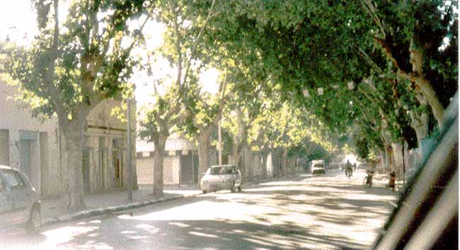 Photo d'Abdallah Gharbi, reproduction interdite sans son autorisation
