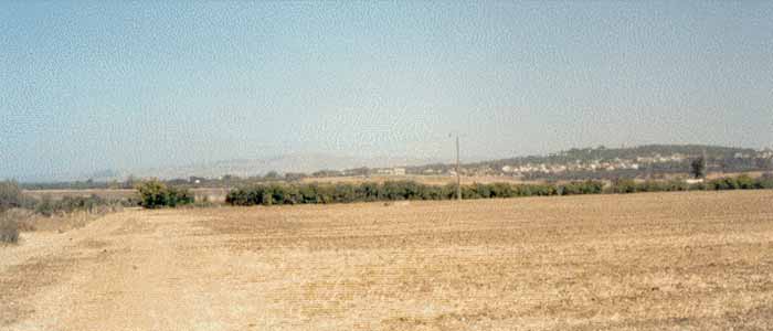 Photo d'Abdallah Gharbi, reproduction interdite sans son autorisation