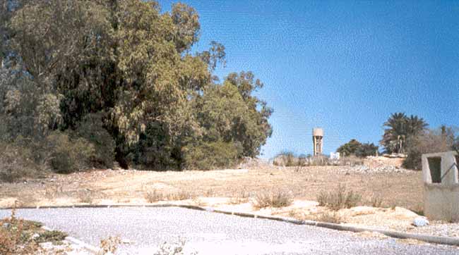 Photo d'Arlette Muscat, reproduction interdite sans son autorisation