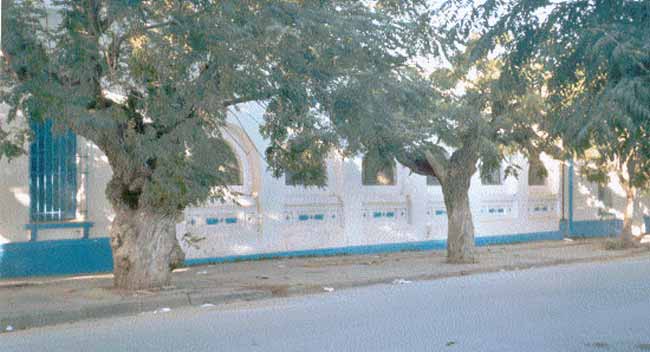 Photo d'Arlette Muscat, reproduction interdite sans son autorisation