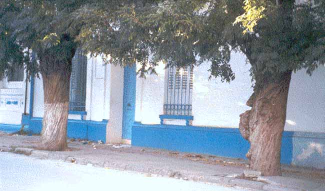 Photo d'Arlette Muscat, reproduction interdite sans son autorisation