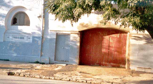 Photo d'Arlette Muscat, reproduction interdite sans son autorisation