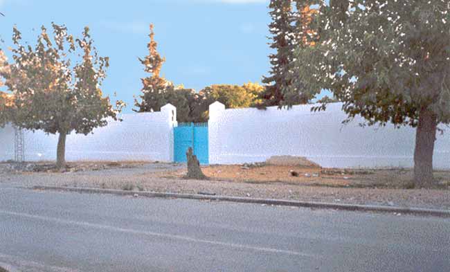 Photo d'Arlette Muscat, reproduction interdite sans son autorisation